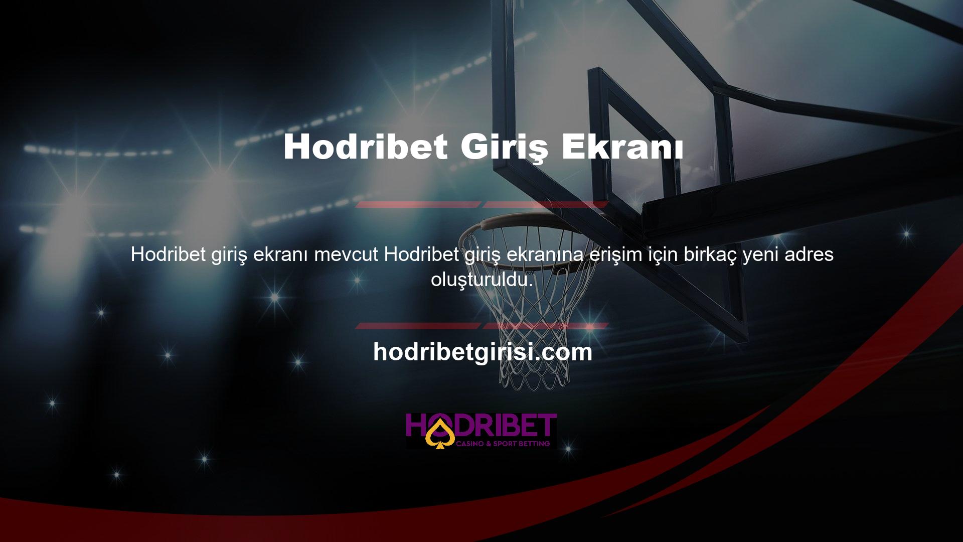 Bu adrese erişimi olan kişiler, kimlik bilgilerini kullanarak istedikleri zaman siteye giriş yapabilirler